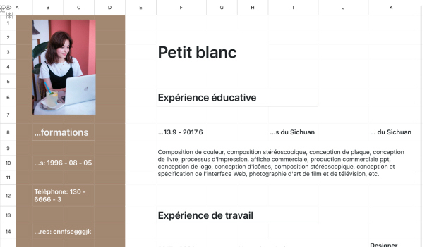 CV de graphiste